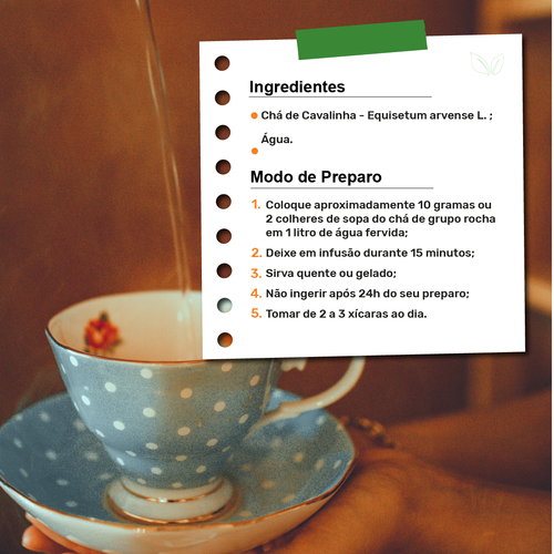 Receitas de Chá de Cavalinha para Potencializar Efeitos