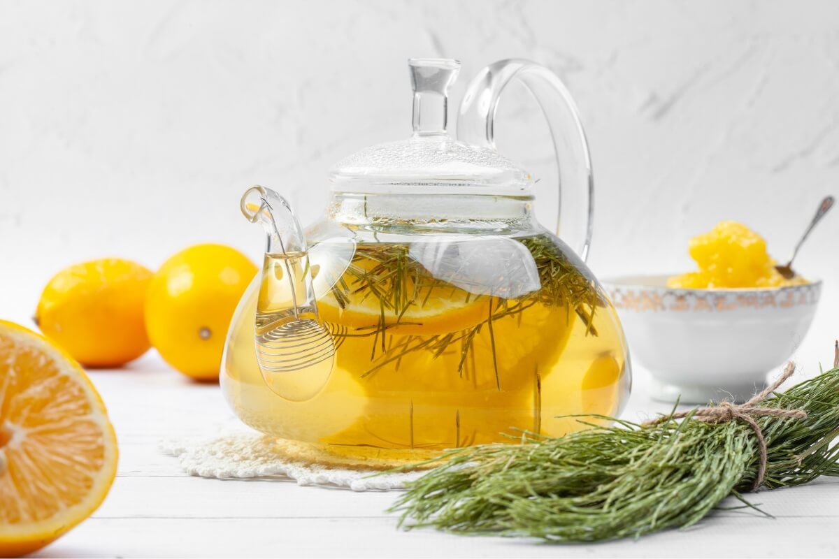 Guia Completo de Ervas Diuréticas Naturais