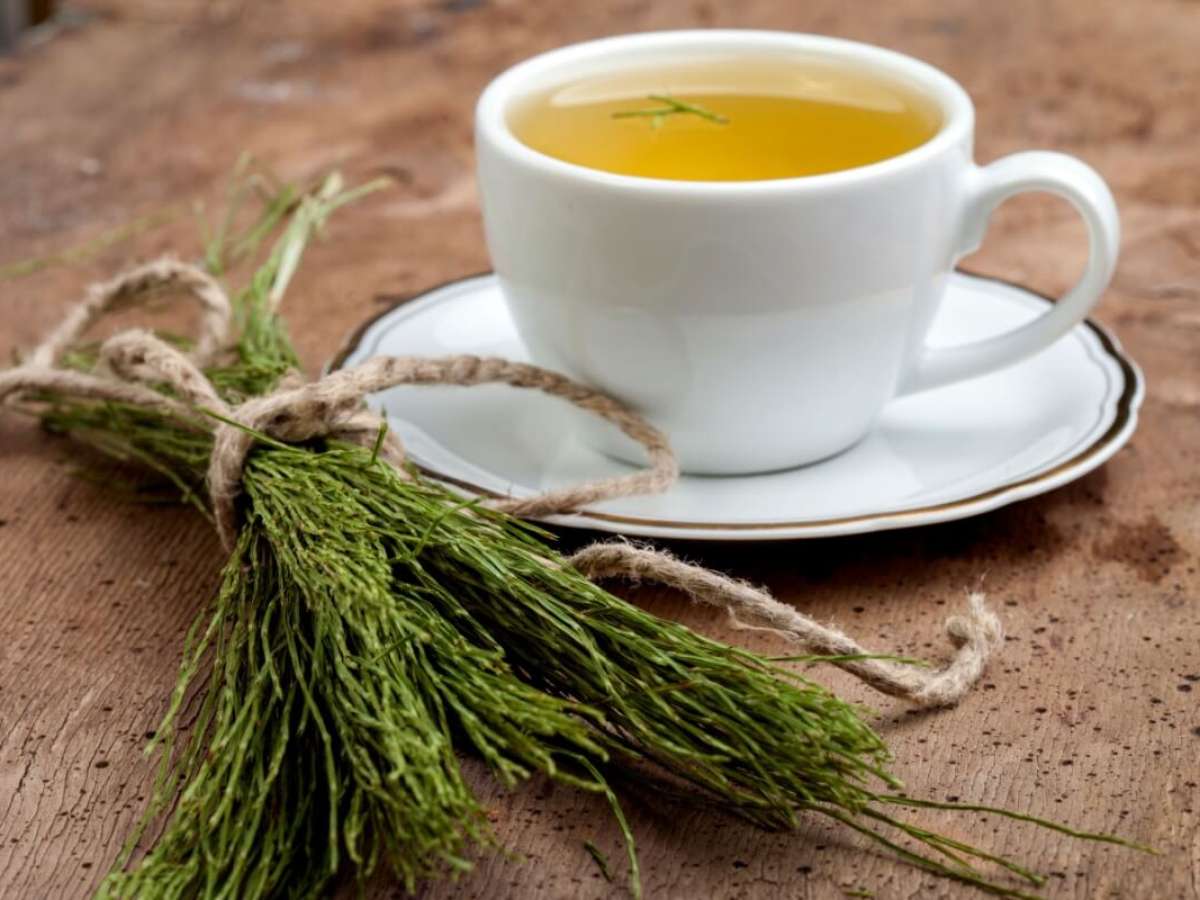 chá de cavalinha beneficios para saude