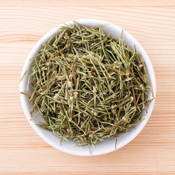 Contraindicações da Cavalinha: Quem Não Deve Consumir?