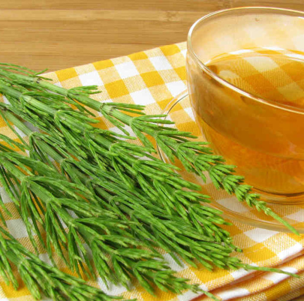 Chá de Cavalinha: Guia Completo de Benefícios e Como Preparar