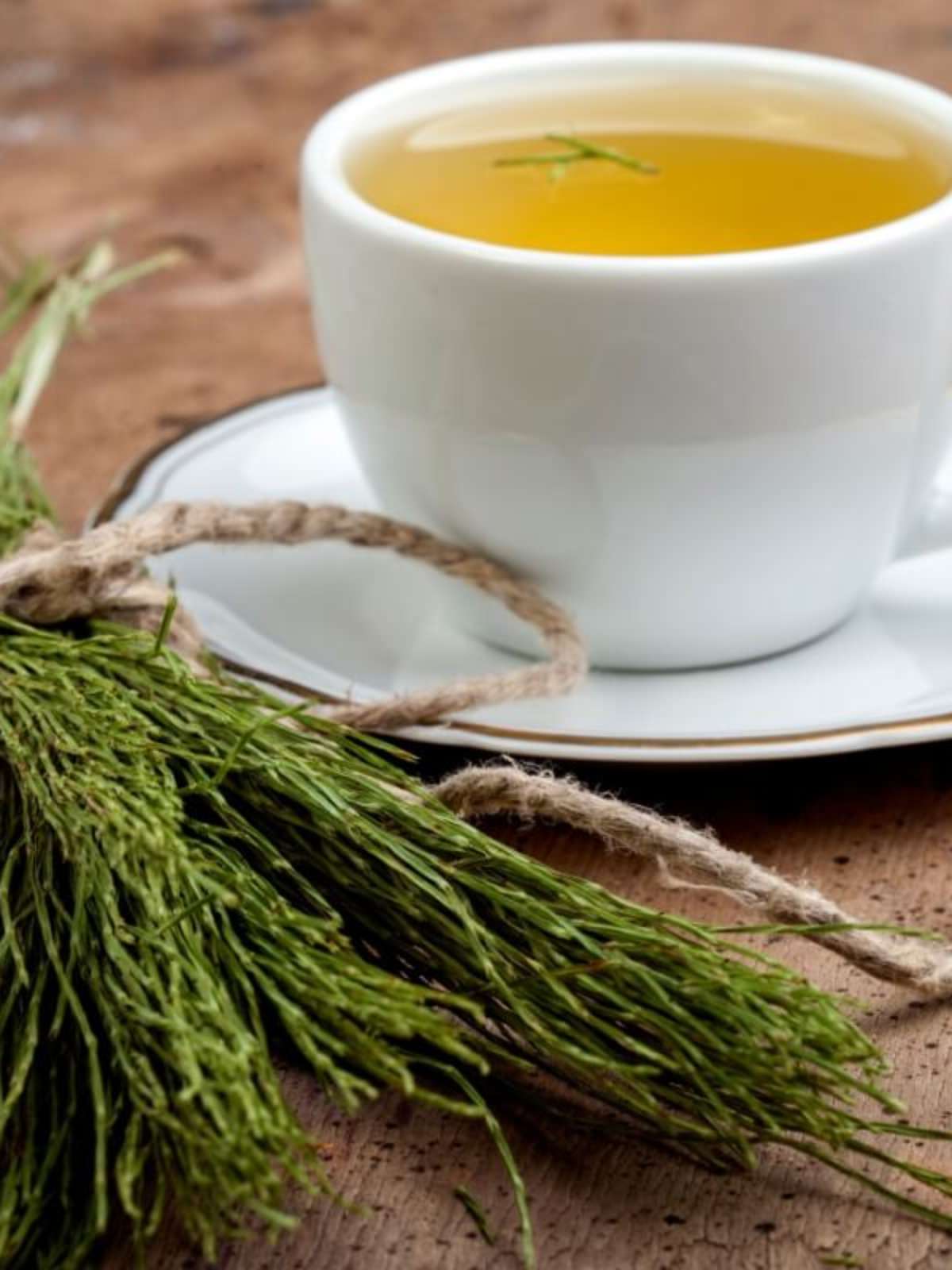 Como Usar o Chá de Cavalinha para Combater a Retenção Hídrica