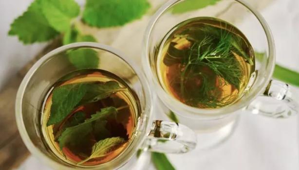 Os Perigos do Uso Prolongado do Chá de Cavalinha: Cuidados Essenciais