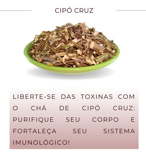 chá de cipó cruz