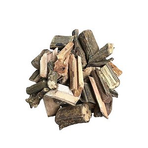 Como Identificar e Cultivar a Planta Cipó-Cruz em Casa