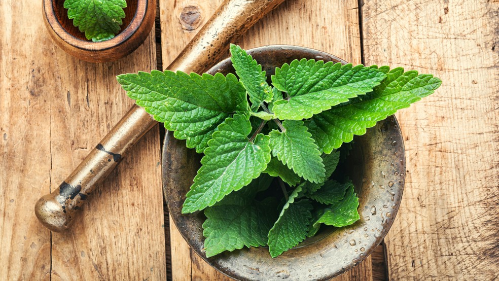 chá de erva cidreira faz mal