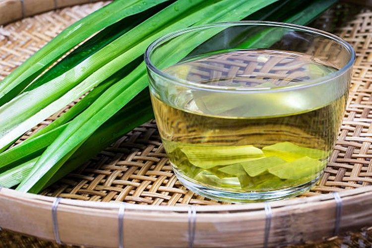 Capim-Cidreira vs. Erva-Cidreira: Diferenças e Cuidados na Saúde