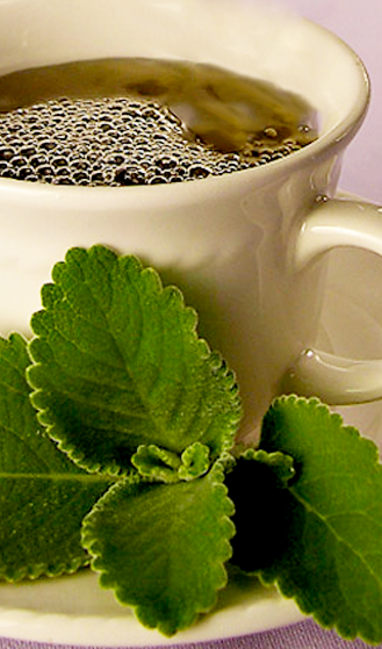 1. Chás seguros para gestantes: Um guia completo.
2. Erva-cidreira na gravidez: Benefícios e cuidados essenciais.
3. Aliviando desconfortos na gravidez com chás naturais.
4. Quando evitar chás durante a gestação: Um alerta importante.
5. Guia de chás para gestantes: O que pode e o que não pode.