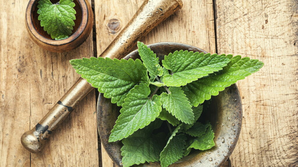 chá de erva cidreira para ansiedade