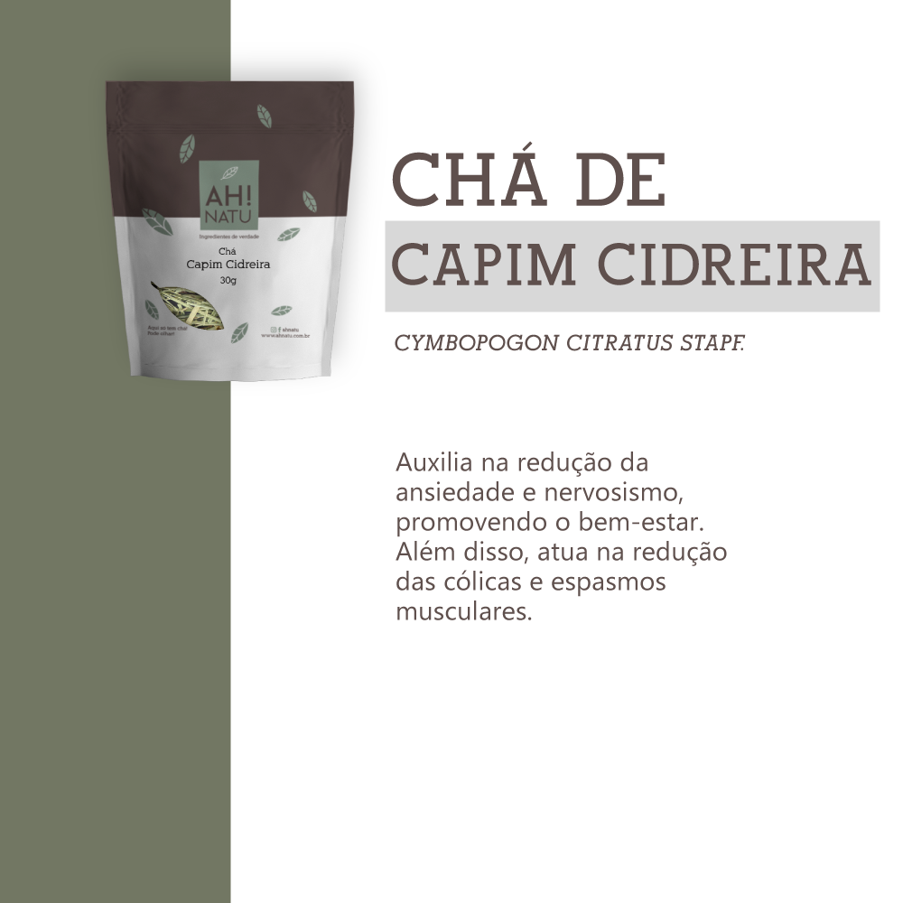Melissa officinalis: Guia Completo sobre a Erva-Cidreira