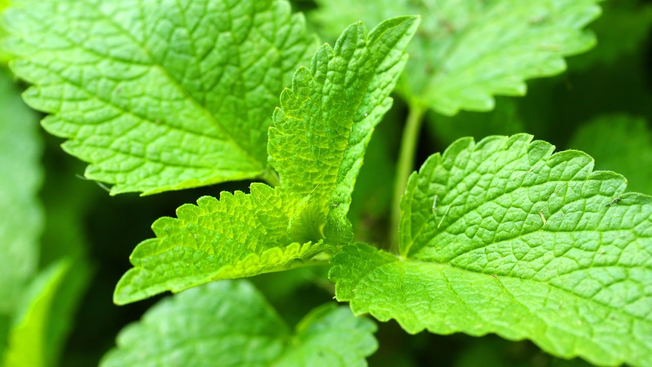 Como a Alimentação Afeta a Qualidade do Sono: Dicas Essenciais