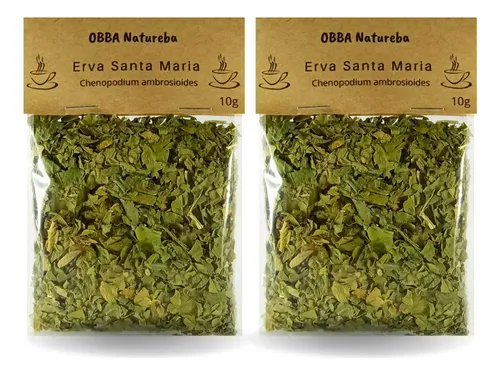 chá de erva de santa maria