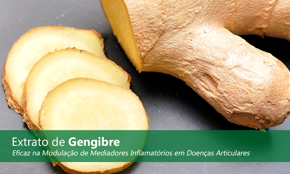 Dieta Low FODMAP: Guia Completo para Síndrome do Intestino Irritável