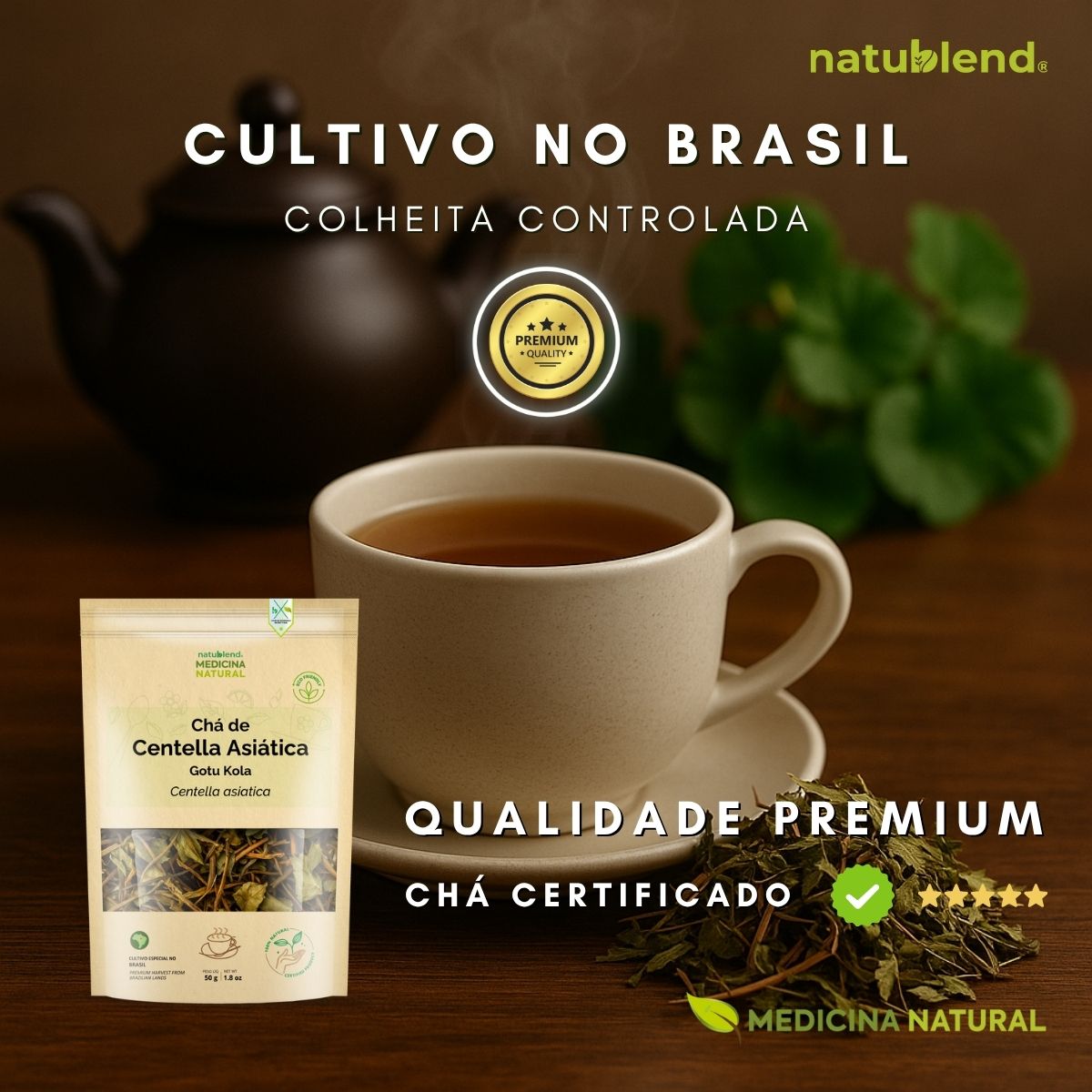 Varizes e Circulação: O Papel da Centella Asiática