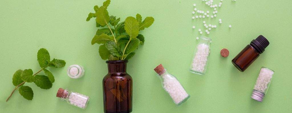 Guia Completo: Dosagem e Cuidados ao Consumir Centella Asiática