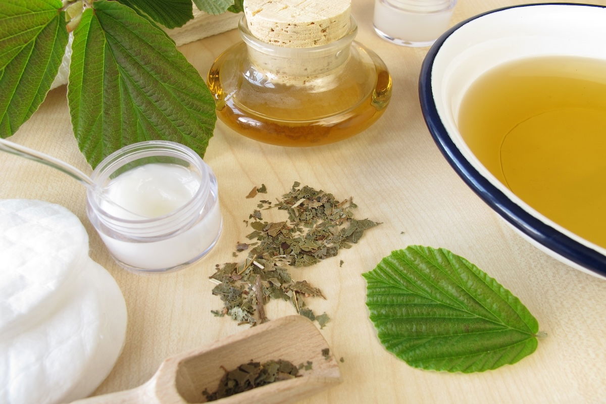 Os Benefícios da Hamamélis para uma Pele Saudável e Sem Acne