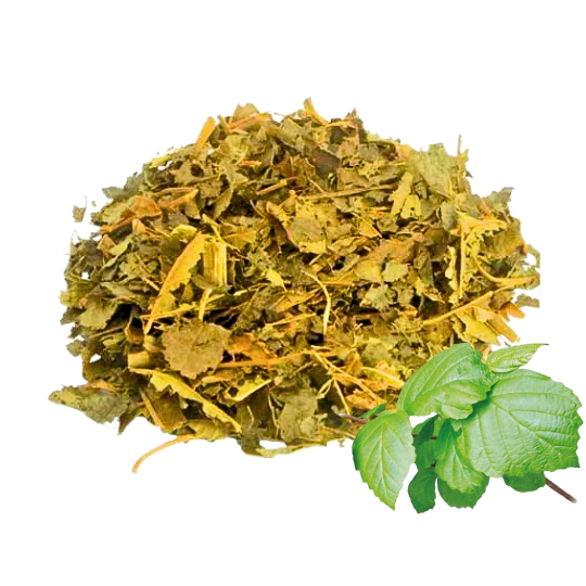 Como Usar Hamamélis para Aliviar Varizes e Melhorar a Circulação