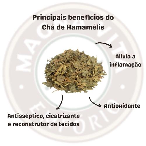 Hamamélis: Guia Completo para Tratamento de Hemorroidas