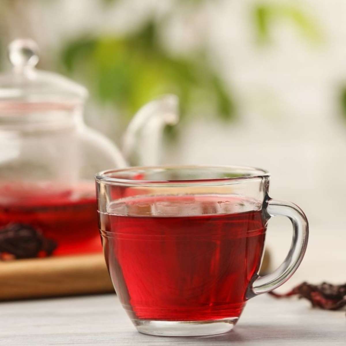 chá de hibisco baixa a pressão arterial