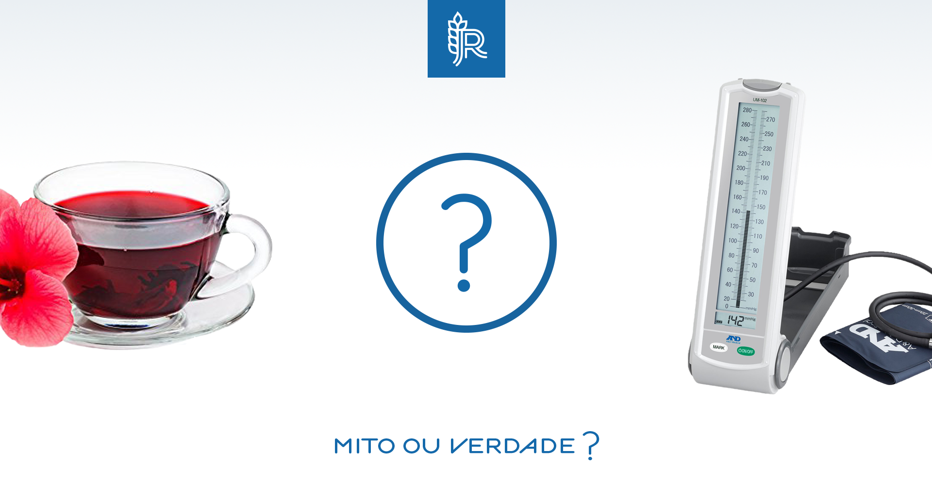 Mitos e Verdades sobre o Chá de Hibisco e a Perda de Peso