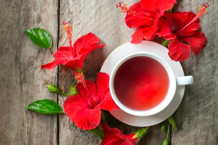 Chá de Hibisco: Guia Completo de Preparo para Máxima Eficácia