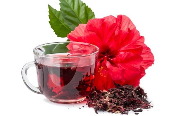 Fertilidade Masculina e Chá de Hibisco: Existe Relação?