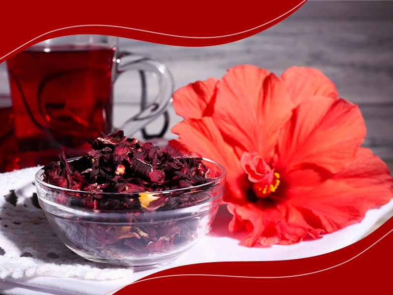 Como o Chá de Hibisco Afeta a Pressão Arterial: Um Guia Completo