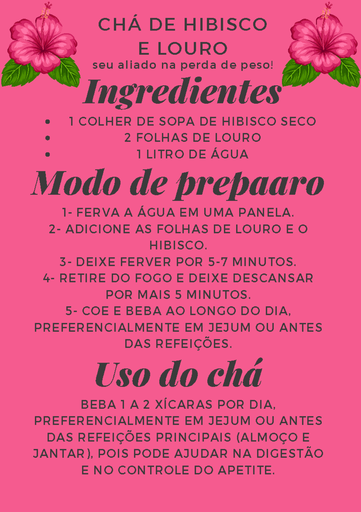 Receitas de Chá de Hibisco para Diferentes Objetivos