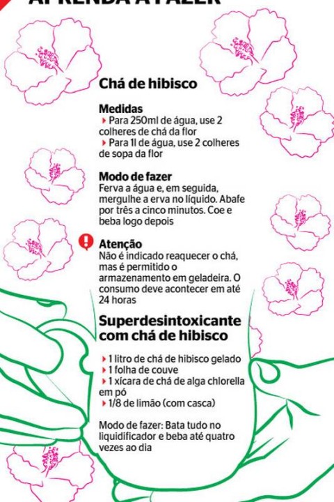 Receitas de Chá de Hibisco para Diferentes Objetivos
