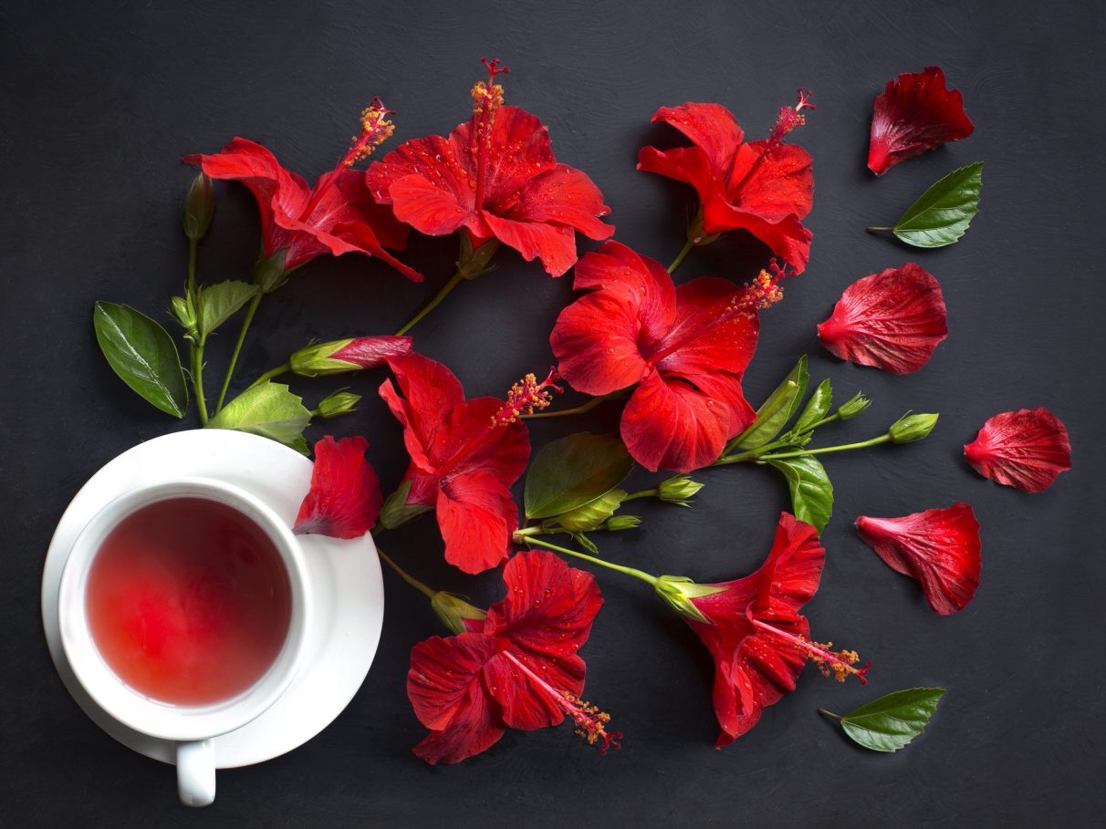 Receitas de Chá de Hibisco para Diferentes Objetivos