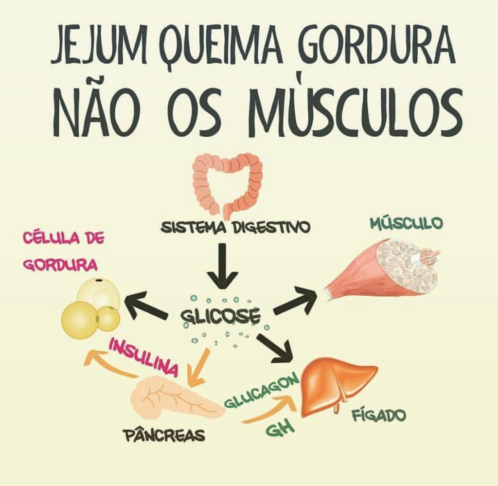 chá de hibisco quebra jejum intermitente