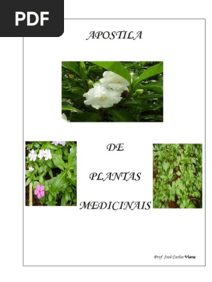 1. Hidraste para Olhos: Benefícios e Riscos do Uso Caseiro
2. Berberina: O Poder Antimicrobiano do Hidraste para a Saúde Ocular
3. Conjuntivite: Alternativas Naturais e Seguras ao Chá de Hidraste
4. Alívio para Olhos Irritados: O Que a Ciência Diz Sobre o Hidraste?
5. Hidraste e Gravidez: Por Que Evitar o Uso nos Olhos?