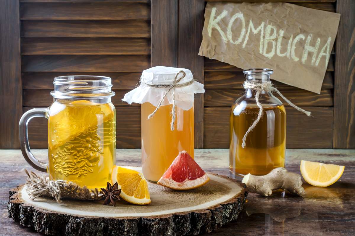 chá de kombucha benefícios