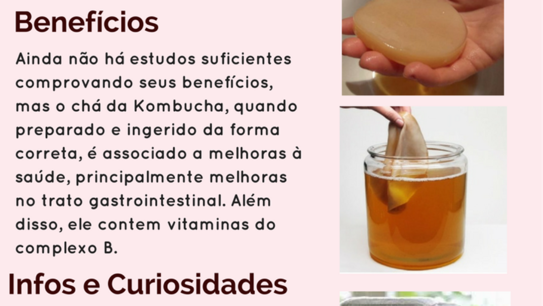 chá de kombucha benefícios