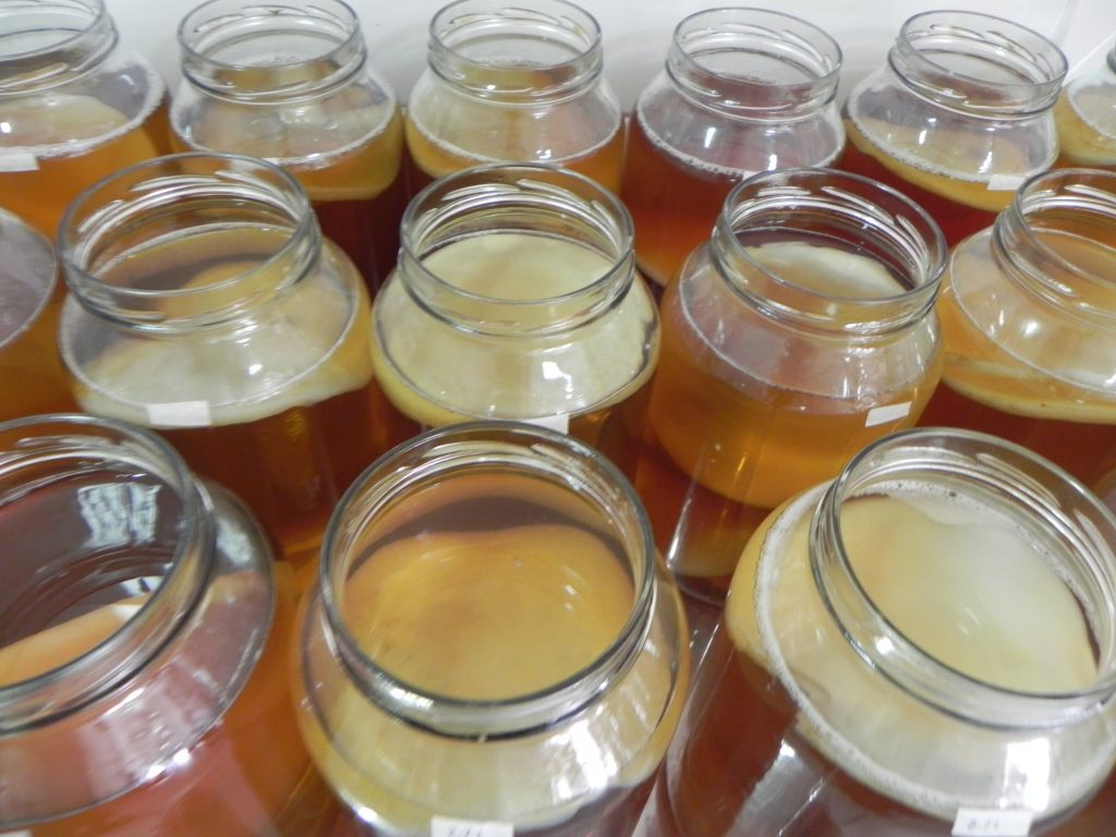 5 ideias de títulos:
1. Kombucha: O Guia Completo dos Benefícios e Cuidados Essenciais
2. Descubra Como o Kombucha Pode Transformar Sua Saúde Intestinal e Imunidade
3. Kombucha Caseiro vs. Industrializado: Qual a Melhor Escolha para Você?
4. Os Mitos e Verdades Sobre o Consumo de Kombucha: O Que Você Precisa Saber
5. Kombucha e Doenças Crônicas: Entenda o Potencial Terapêutico da Bebida