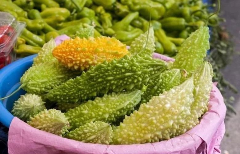 Melão de São Caetano: O que é e como usar para controlar a glicose?