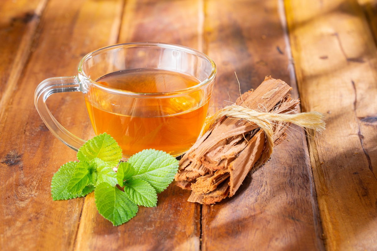 Guia Completo: Como Usar Unha de Gato com Segurança