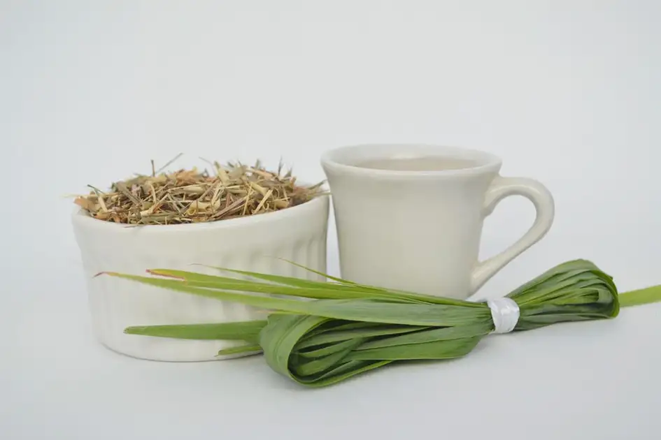 O Papel da Curcumina na Redução da Inflamação Intestinal