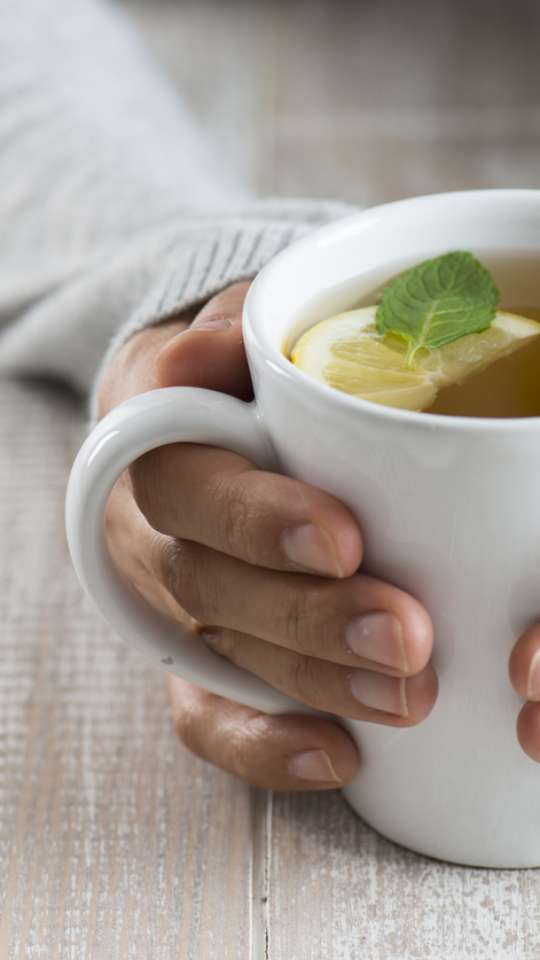 Receitas de Chás de Frutas Refrescantes para Gestantes