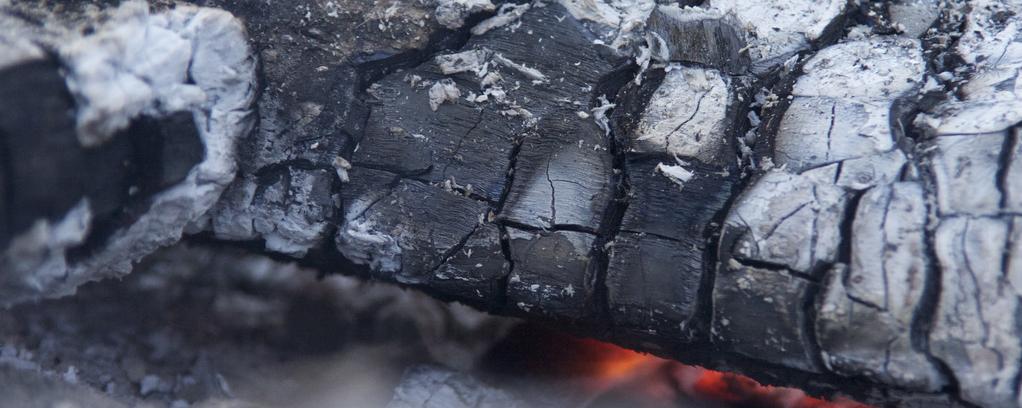 cinzas de madeira na laranjeira