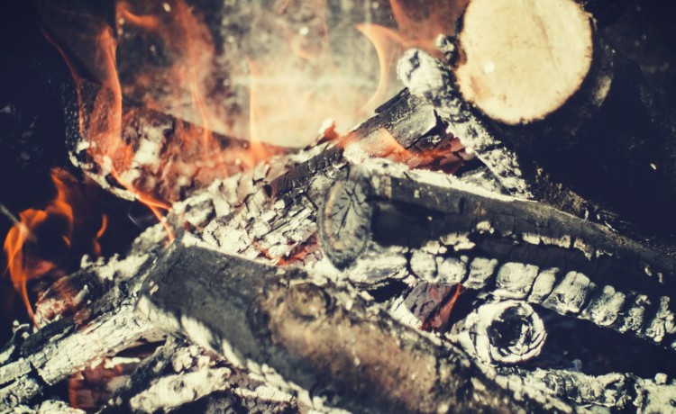 Guia Completo: Aplicação de Cinzas de Madeira em Laranjeiras para um Solo Saudável