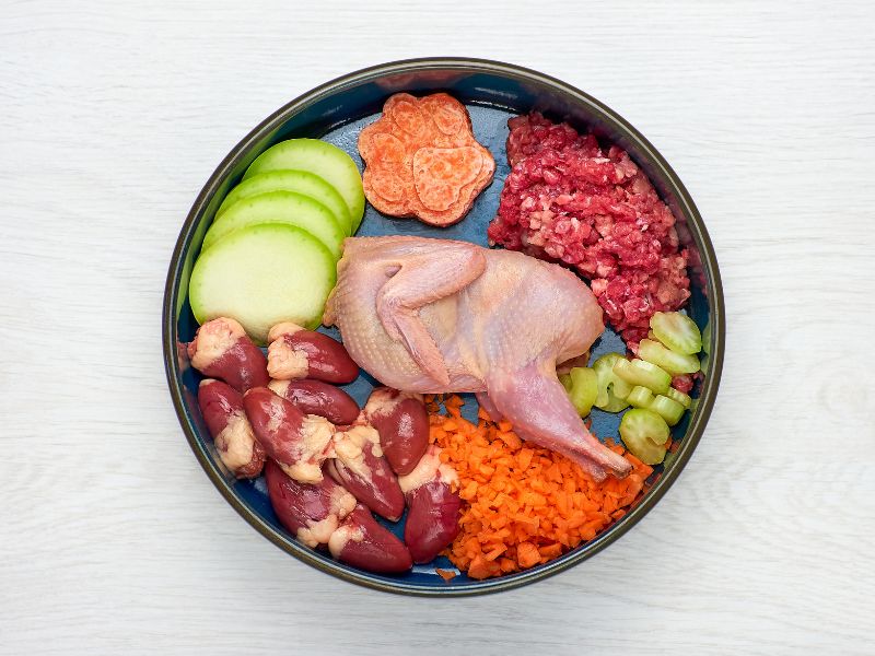 melhores rações para cachorro filhote