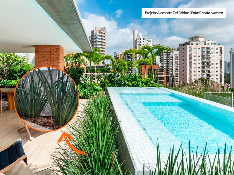 como configurar automação de som ambiente