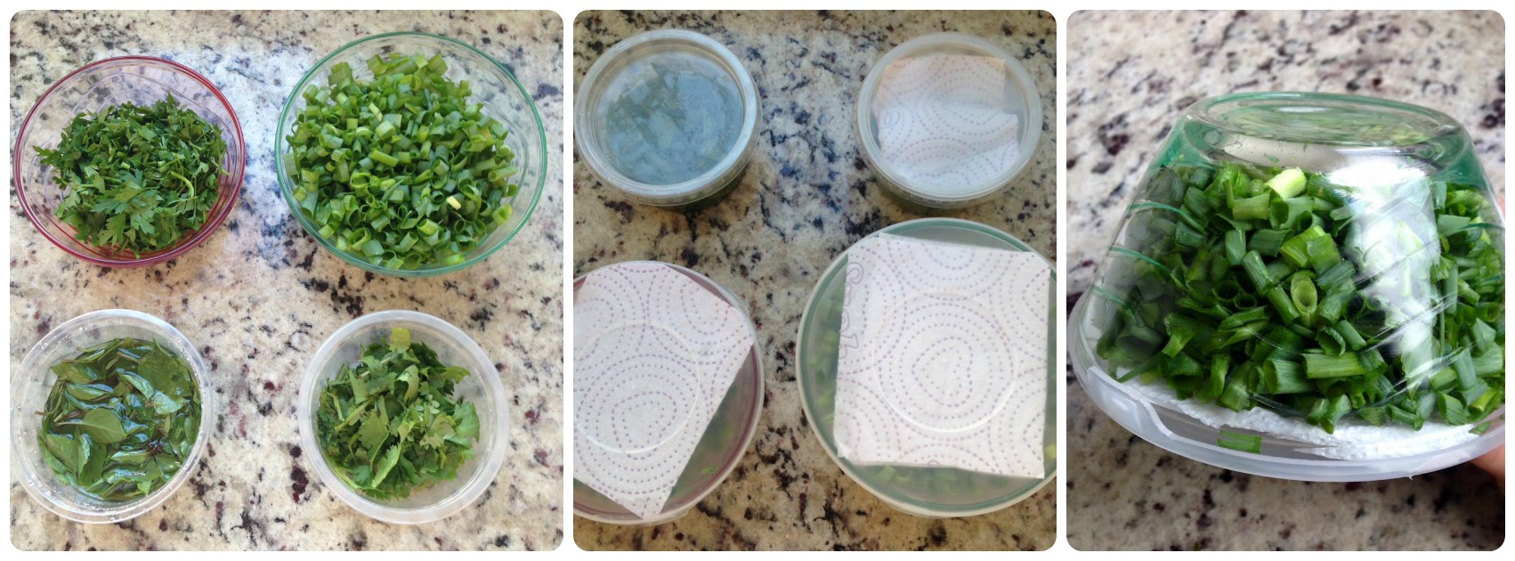 Como plantar cheiro-verde em vasos: Guia completo