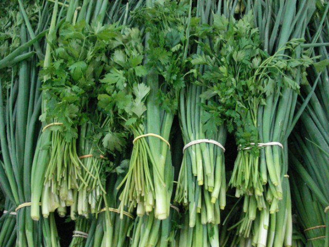 Benefícios de ter cheiro-verde fresco em casa