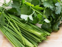 Receitas com cheiro-verde congelado: Otimize seu tempo na cozinha