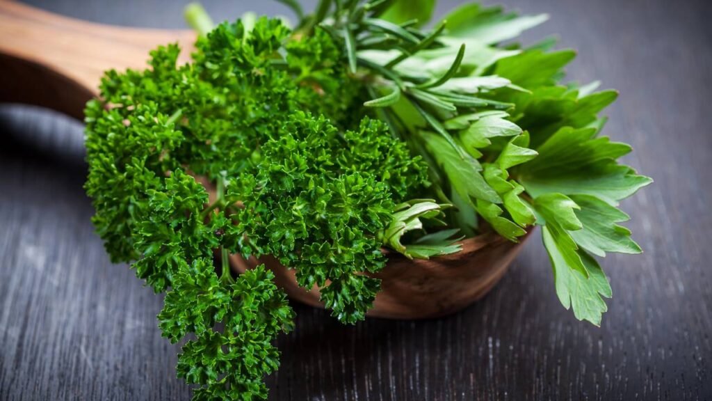 Diferenças entre salsa e cebolinha: Usos culinários