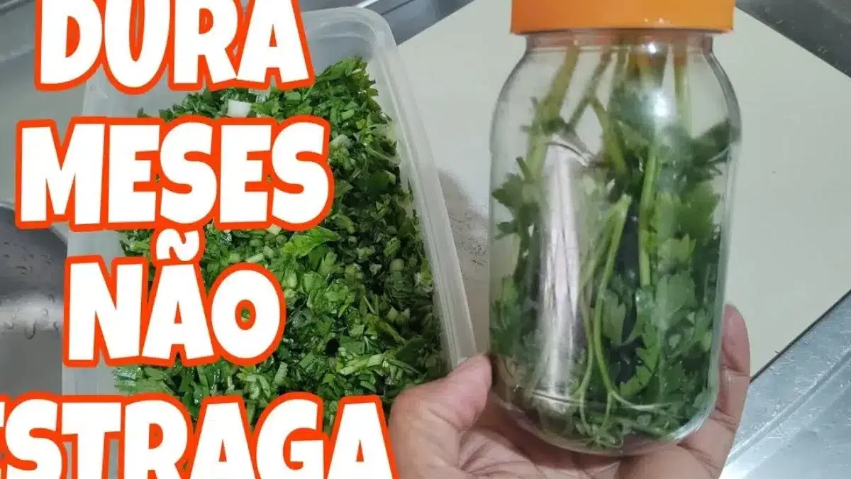Como plantar cheiro-verde em vasos: Guia completo