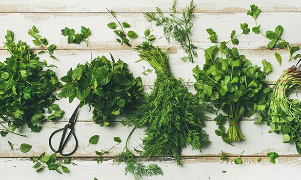 Como Fazer Gelo de Azeite com Ervas para Temperar Suas Refeições