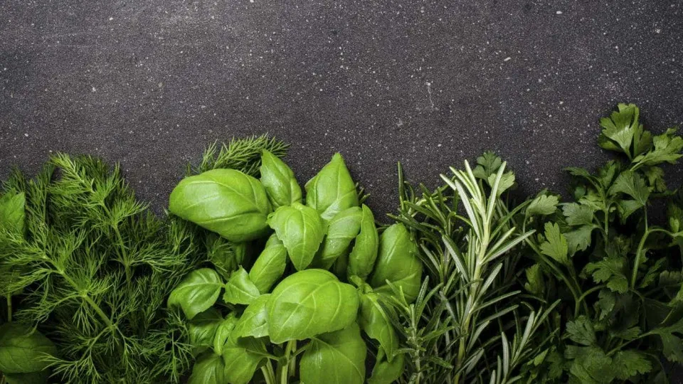 Sal de Ervas Caseiro: A Receita Perfeita para Conservar Seus Temperos